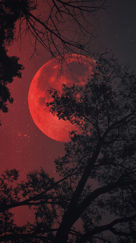 Spellbound - The Chrimson Veil, Chapter 4